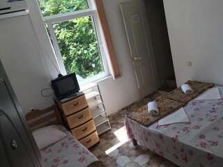 Гостевой дом Guest House Flora Гагра Улучшенный двухместный номер с 2 отдельными кроватями-4